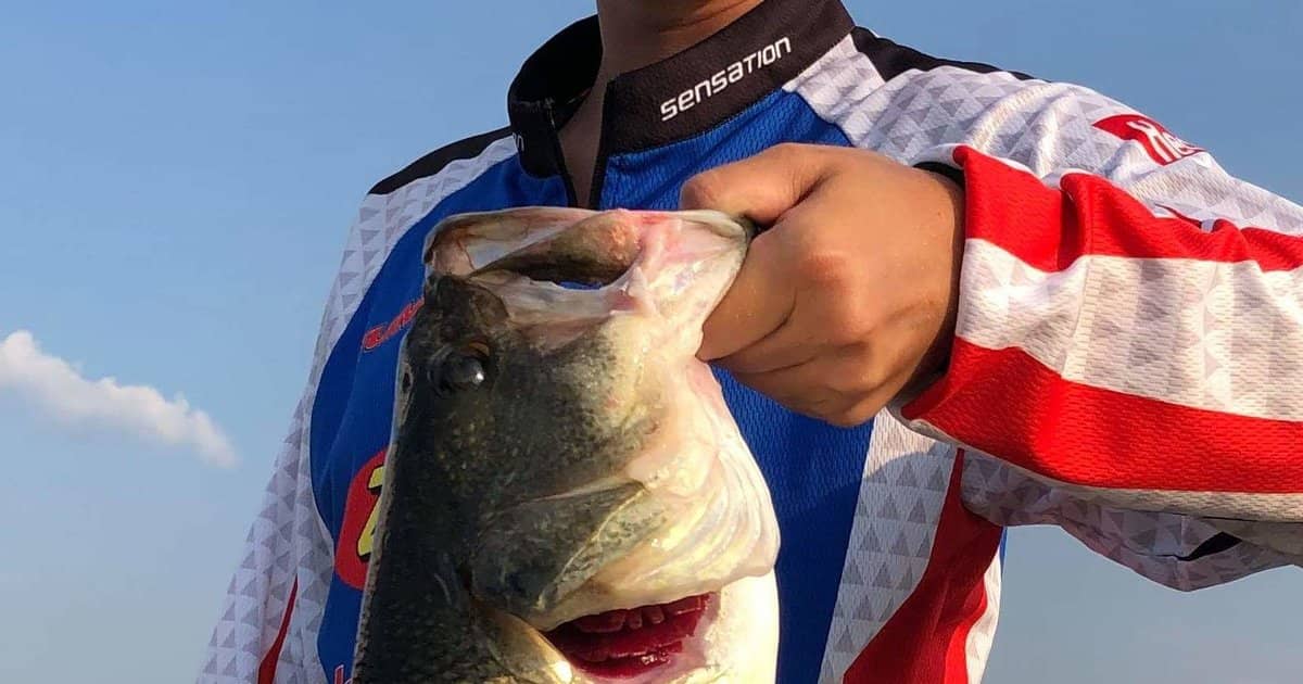 Bass Fishing and Boat Electronics