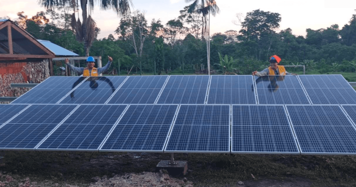 Going green in Amazonia